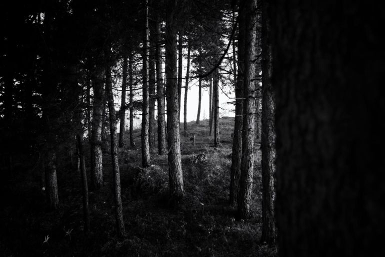 Interaktivni fotoprojekat: Aleja snajpera