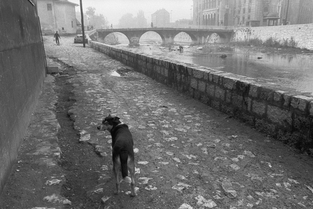 Sarajevo. 1993.