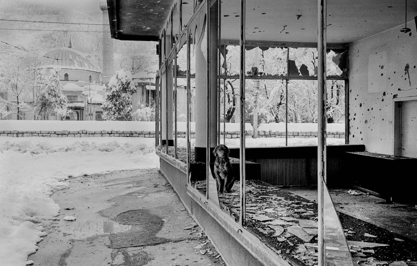 Photo by Andree Kaiser