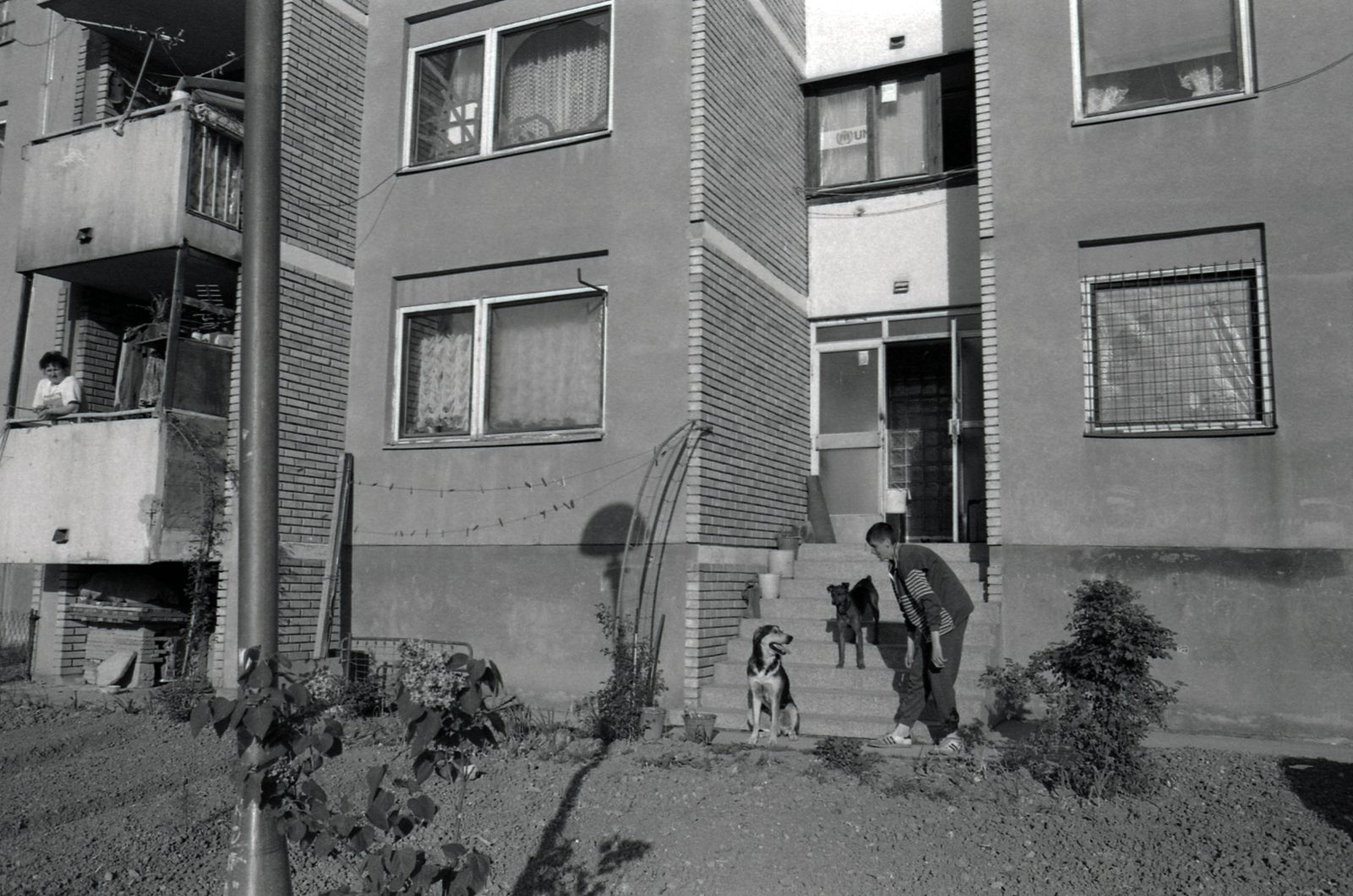 Sarajevo, Dobrinja 1996