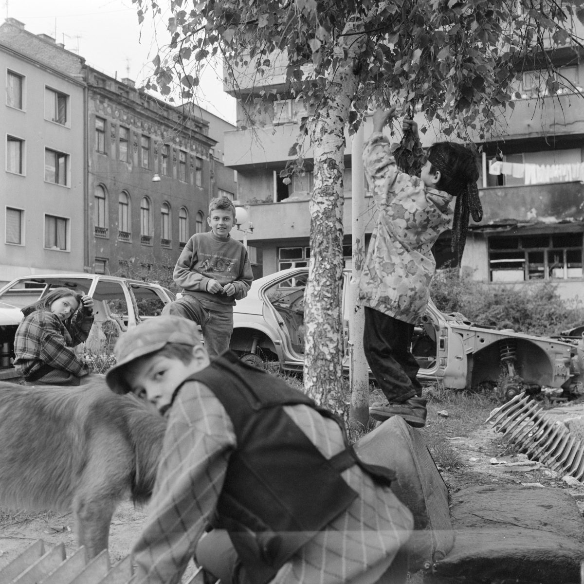 Sarajevo 1993