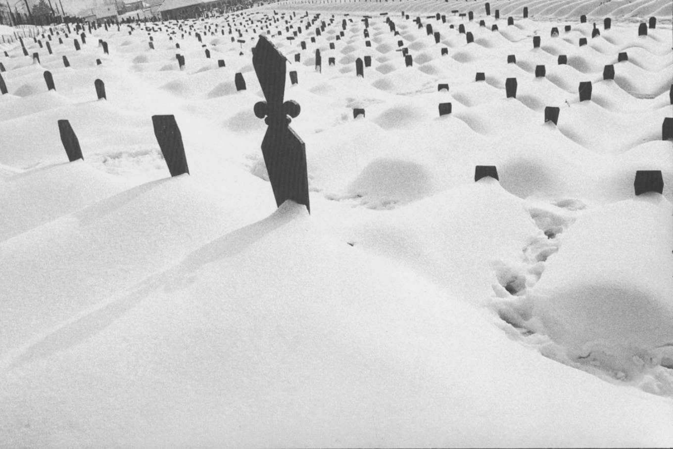 Photo by Jérôme Brézillon