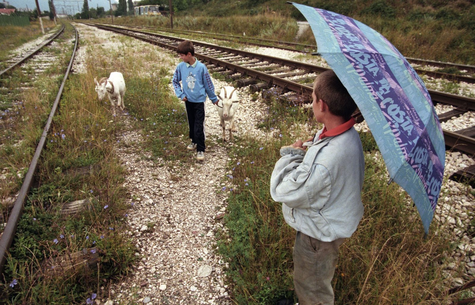 Sarajevo Summer 1994
