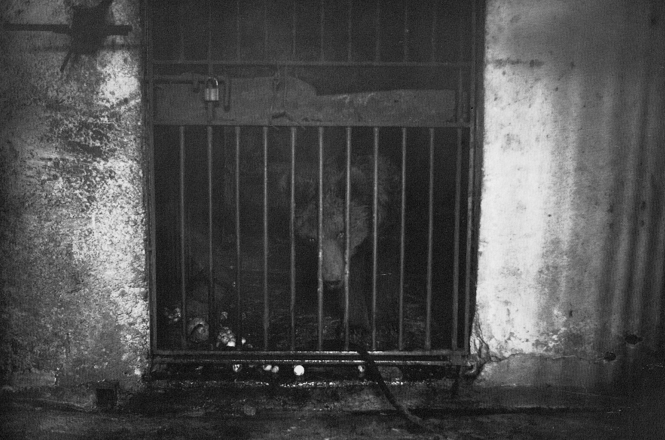 Sarajevo, Bosnia and Herzegovina, 1992.