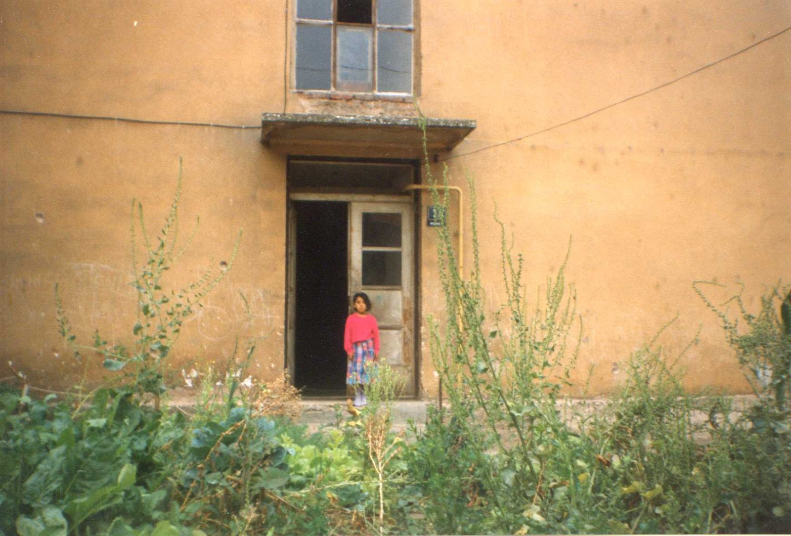 Photo by Maurizio Avogadri Ramakavya