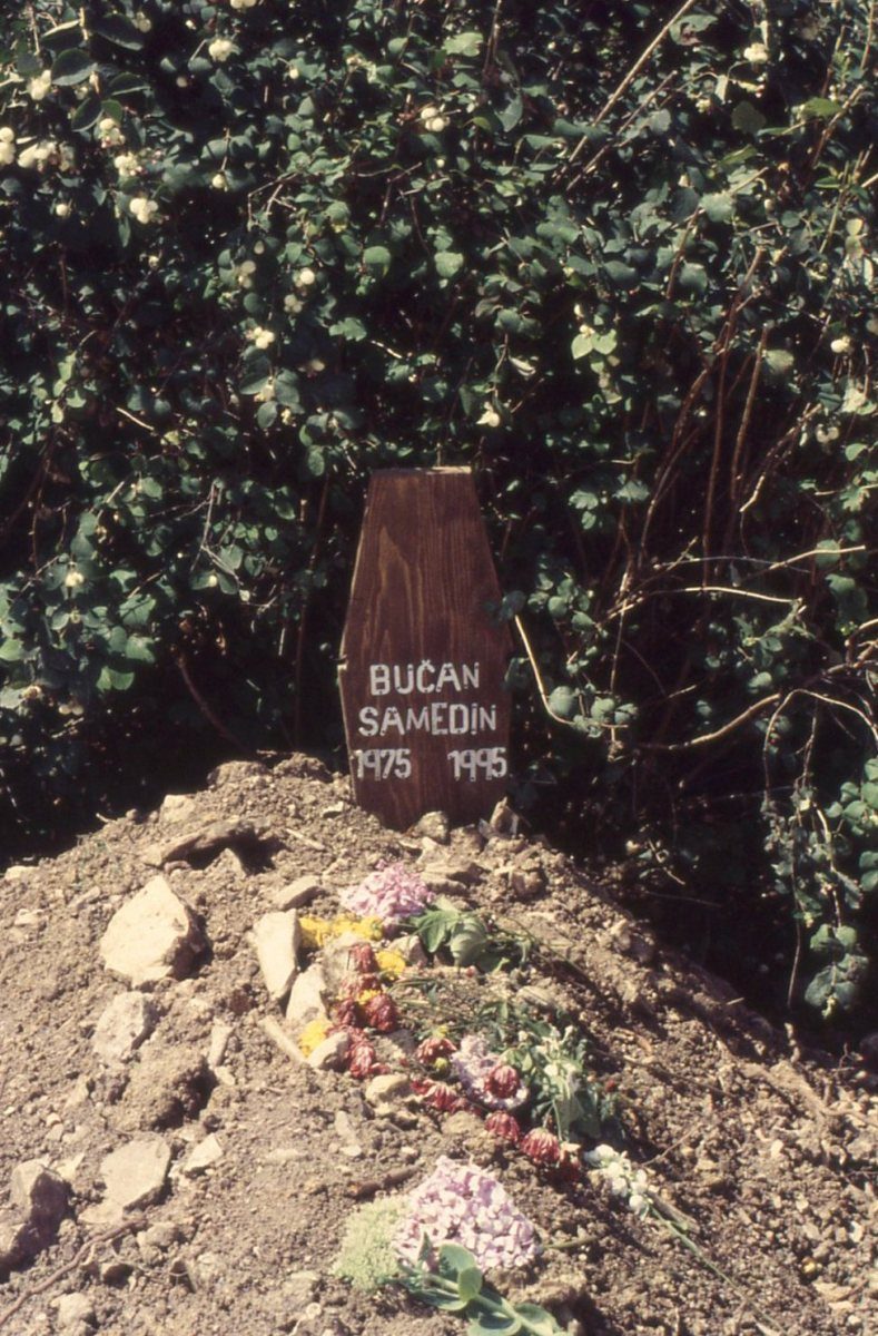 Photo by Maurizio Avogadri Ramakavya