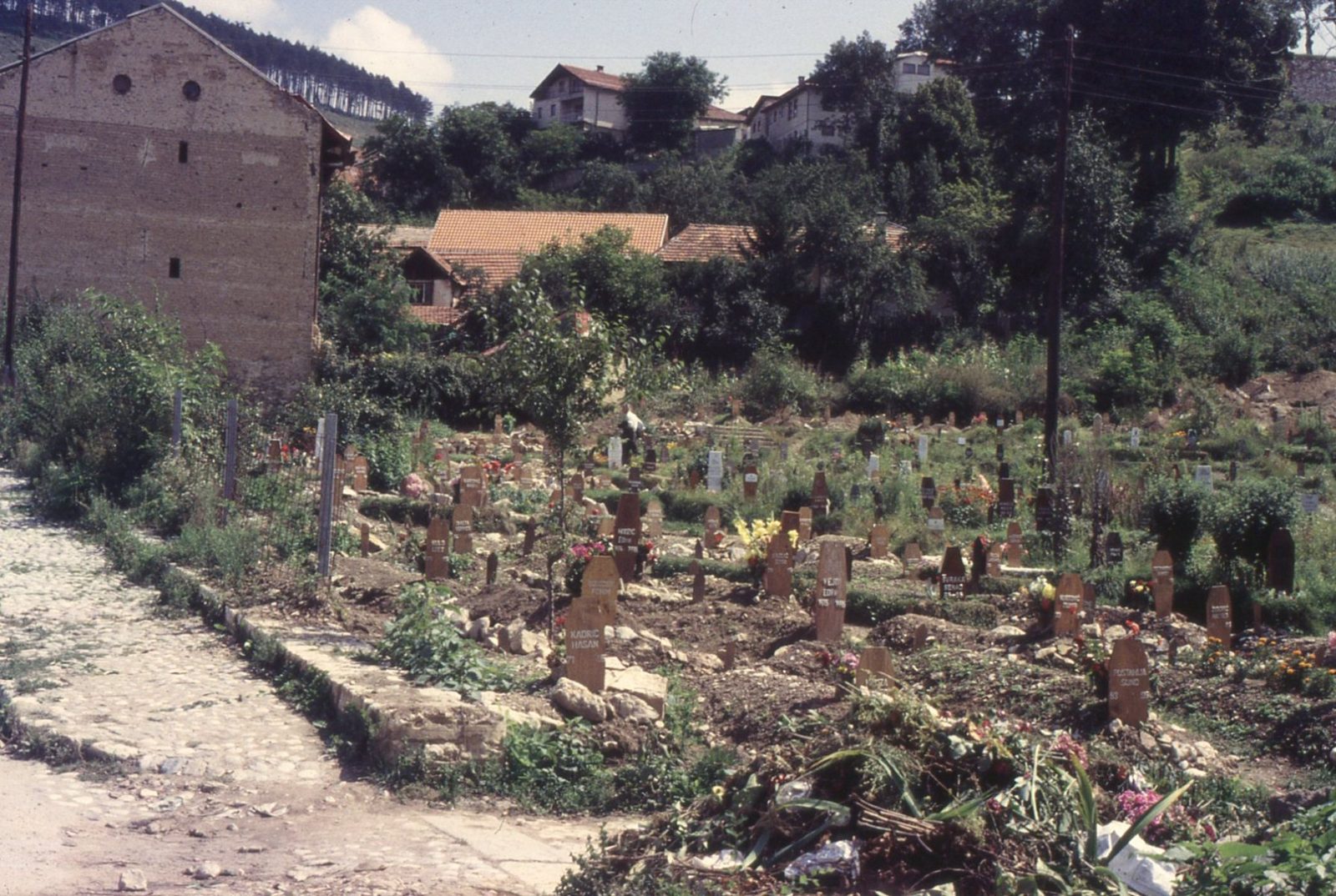 Photo by Maurizio Avogadri Ramakavya