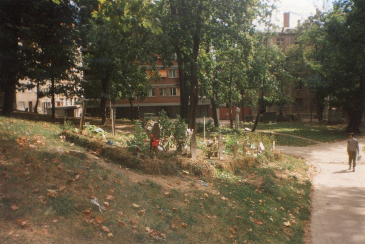 Photo by Maurizio Avogadri Ramakavya
