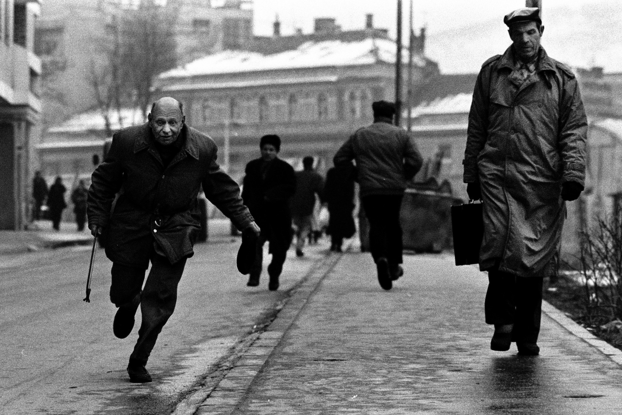 Photo by Max Ferrero