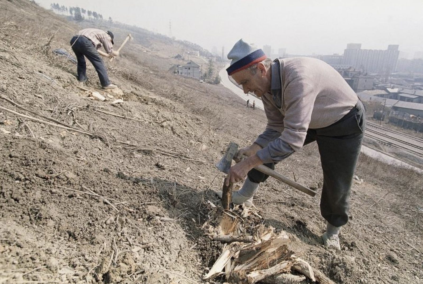 Men on a once-forested hill dig out the stumps of trees to use as fuel for their stoves, Sunday, March 14, 1993 in Sarajevo. Wood has become one of the most precious commodities in Sarajevo following the siege by Serbian forces and the cold winter temperatures.
