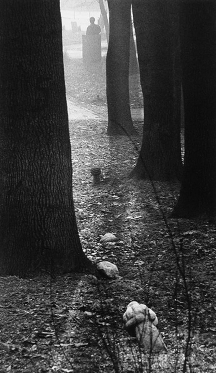 Photo by Mirza Ajanovic