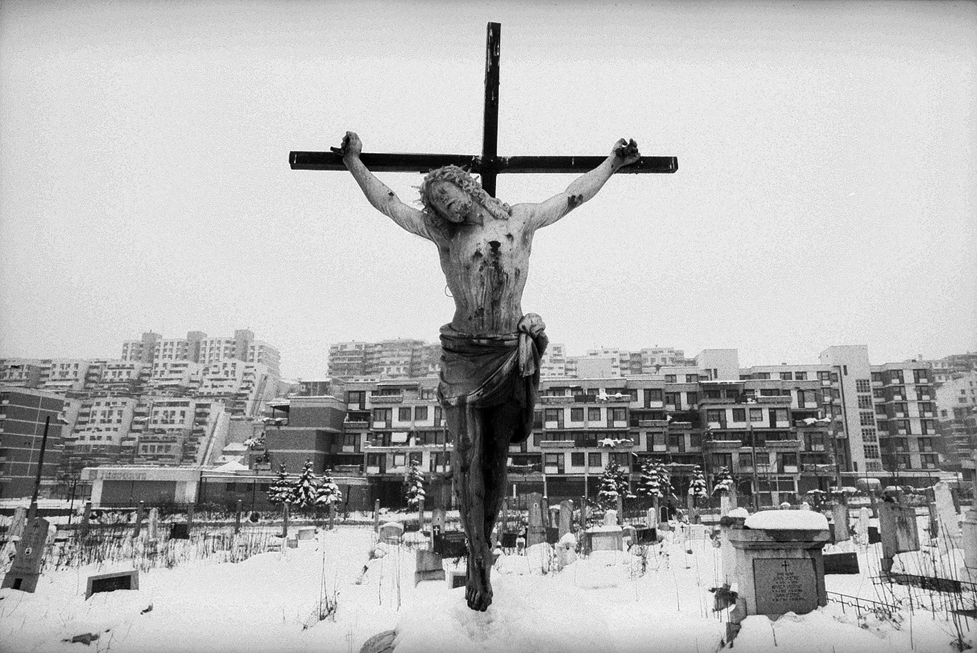 Photo by Mohsen Rastani