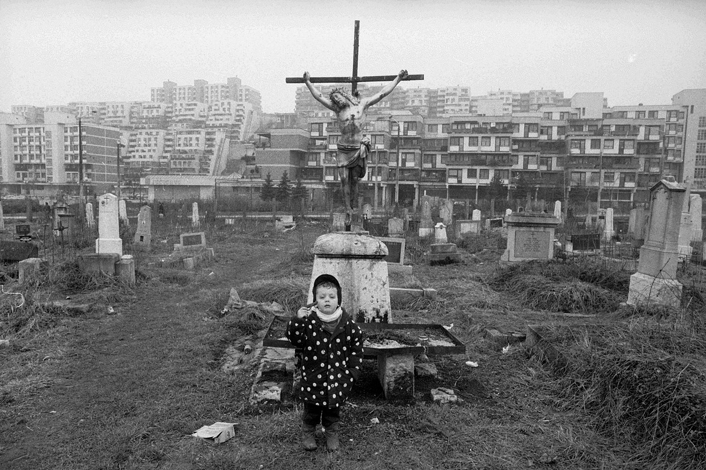 Photo by Mohsen Rastani