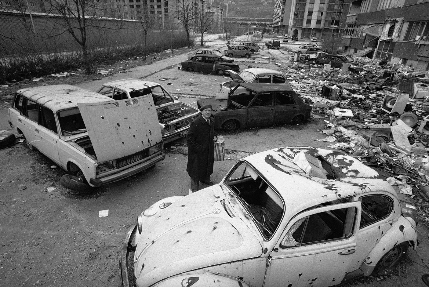 Photo by Mohsen Rastani
