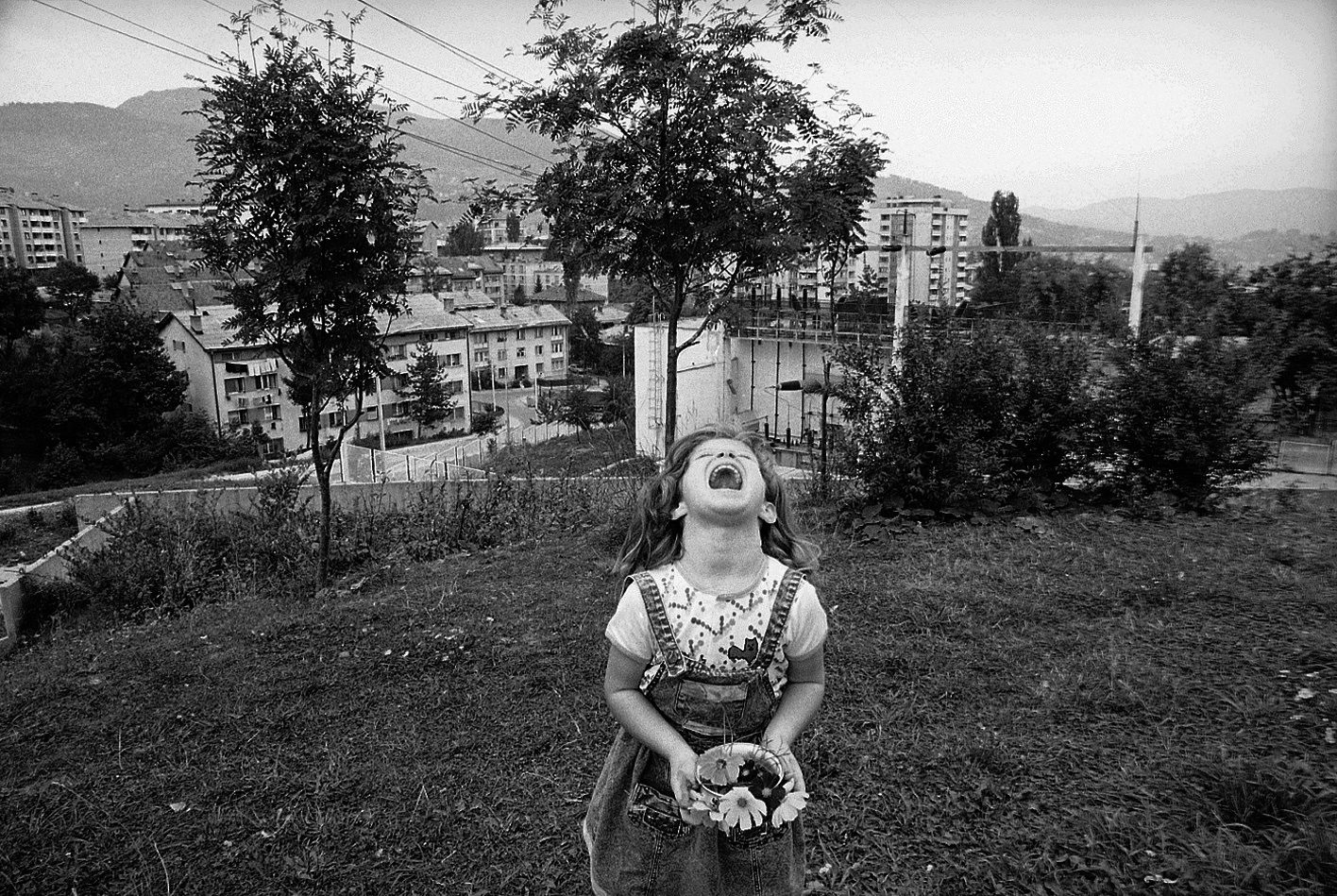 Photo by Mohsen Rastani