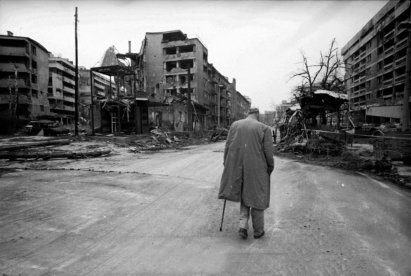 Photo by Mohsen Rastani