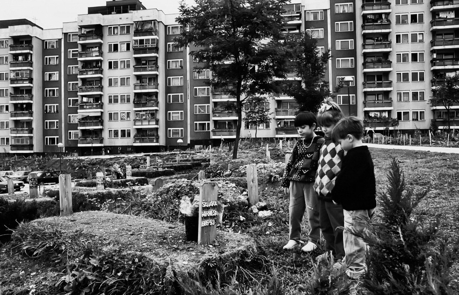 Photo by Paolo Siccardi