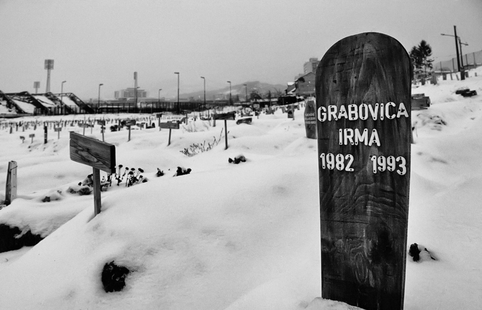 Photo by Paolo Siccardi