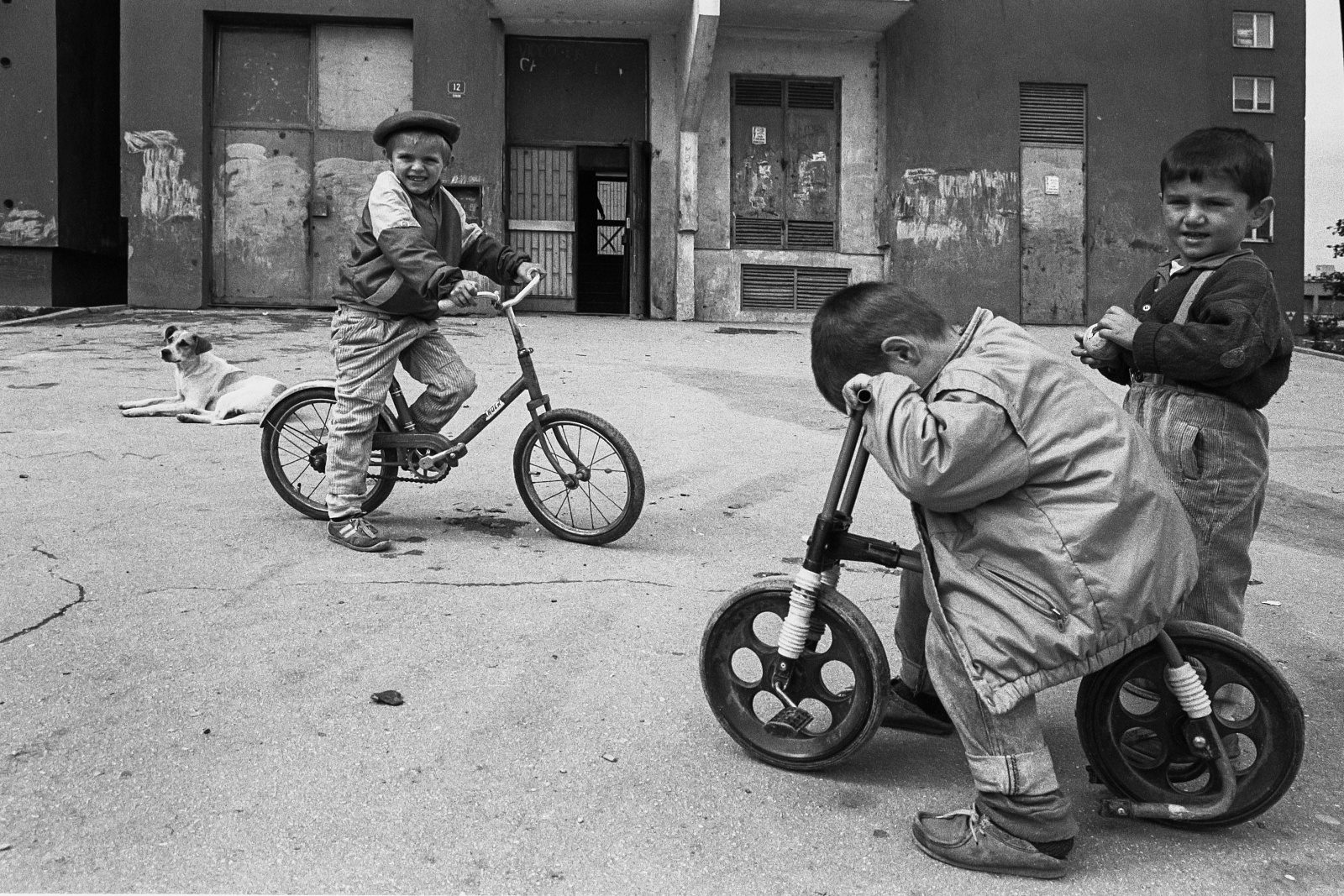 Photo by Paolo Siccardi