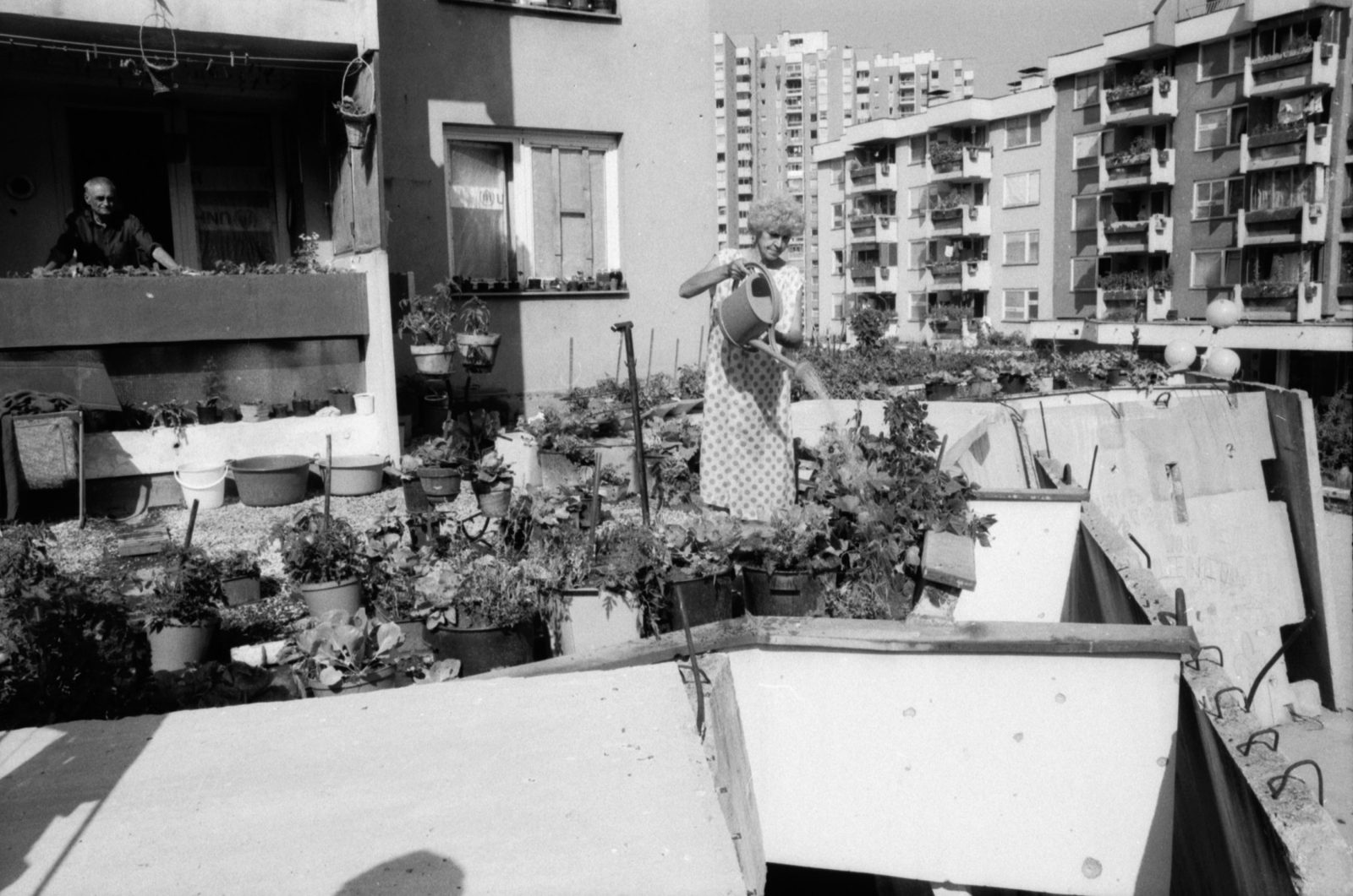 Summer 1993, Sarajevo, Bosnia and Herzegovina. A woman tends her roof garden, Alipasnopolje.