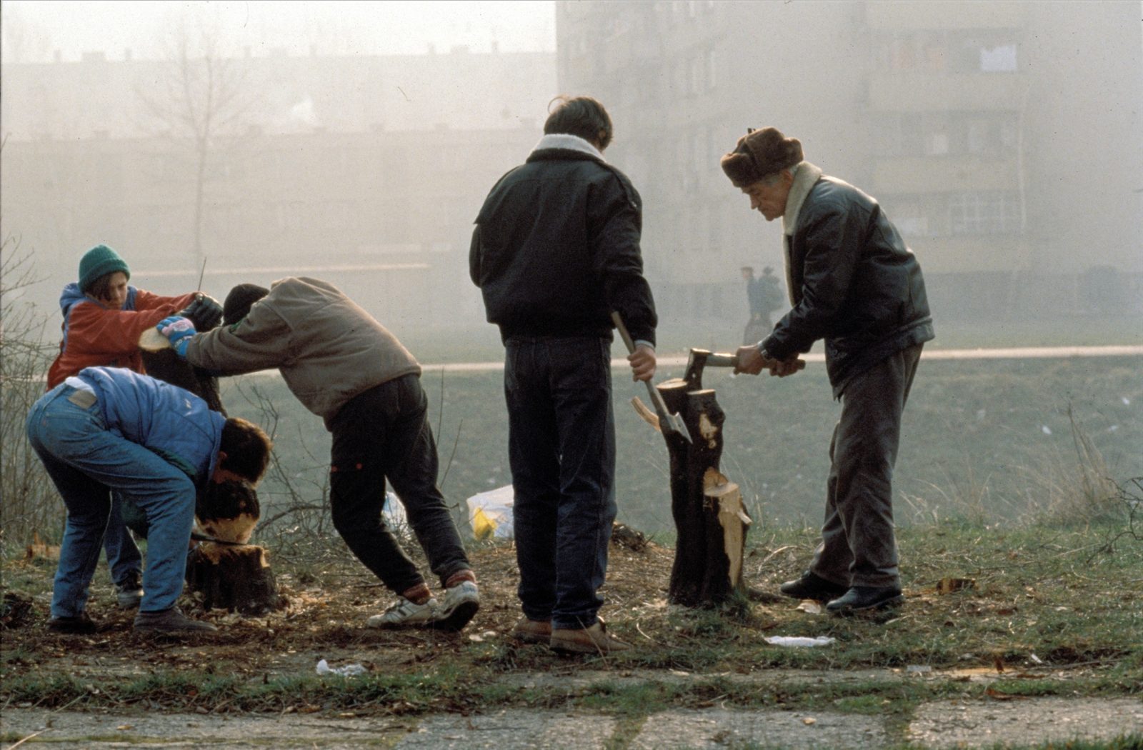 Sarajevo residents salvage the remains of trees that have been cut down for use as fuel for cooking and heating during the Serb siege of the city, December 1992. During the first winter of the siege most of Sarajevo's parks and tree-lined boulevards were cut down by desperate citizens.