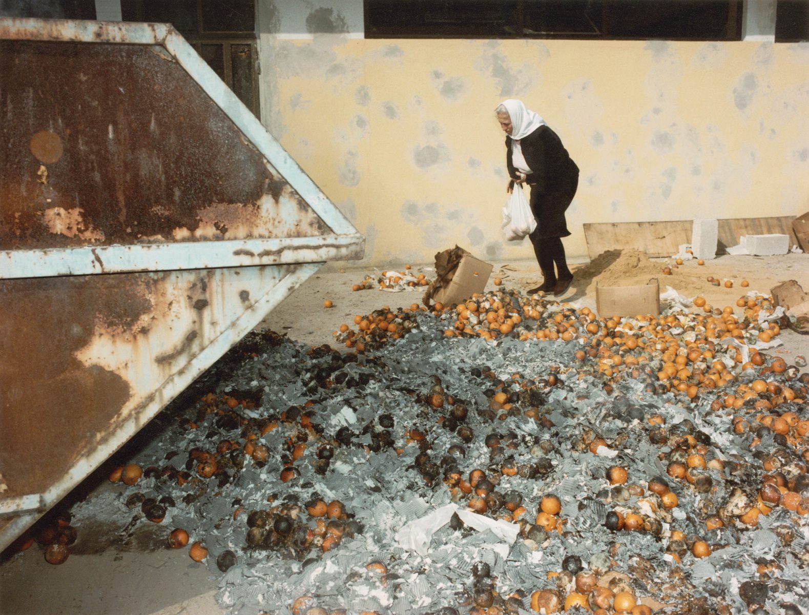 eine alte Frau sucht nach unverdorbenen Orangen, Mostar, September 1993, Bosnien-Herzegowina# an old woman looking for unspoilt oranges, Mostar, September 1993, Bosnia-Herzegovina
