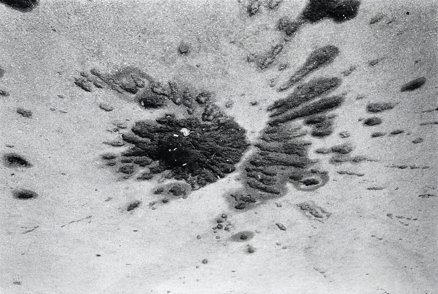 Sarajevo February 1993