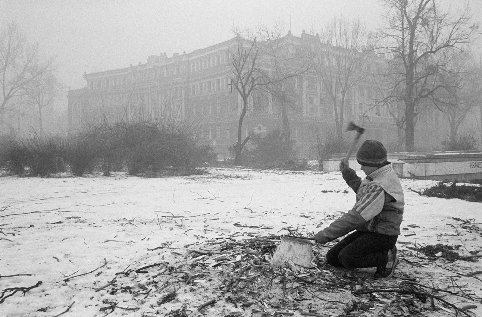 Young boy collecting fire woof in the park close to the Presidency building in January 1993, Sarajevo.